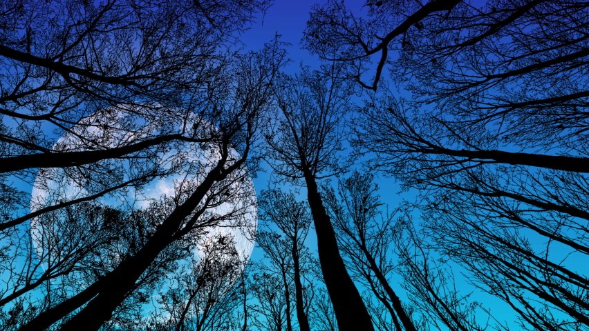 A Giant moon rising over a forest silhouette.