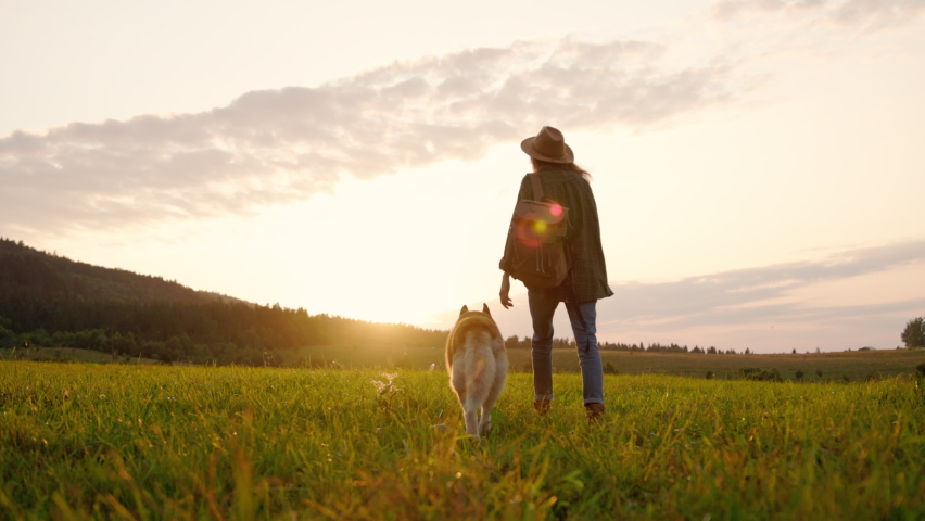 Cheerful and inspired caucasian tourist girl backpacker walking along with cute Siberian husky dog on sunset mountain landscape. Natural scenery. Family travel. Royalty-Free Stock Footage #1077144323
