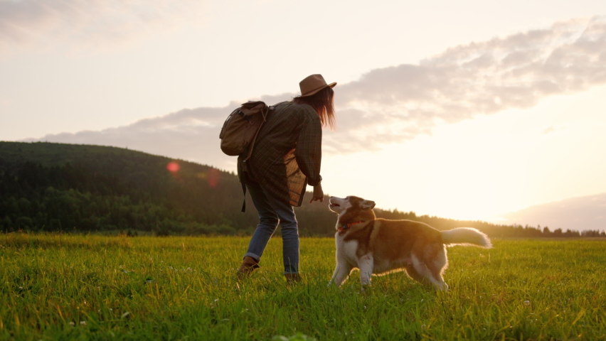 Inspired young dreamy caucasian girl playing with adorable Siberian husky dog in mountain scenery. Beautiful nature. Sunset. Family picture. Royalty-Free Stock Footage #1077144329