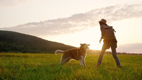 Inspired young dreamy caucasian girl playing with adorable Siberian husky dog in mountain scenery. Beautiful nature. Sunset. Family picture.