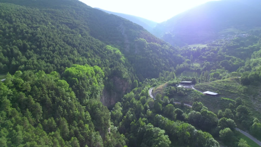 Forest valley for summer camps