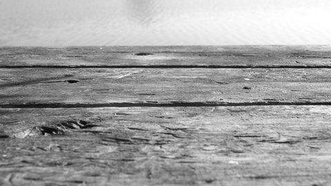 Close-up view black and white 4k stock video footage of old vintage organic wooden weathered planks isolated on sunny blurry defocused blue river water backdrop. Abstract background with copy space