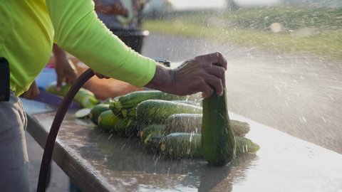 Hand holding zucchini and washing it with spraying water.