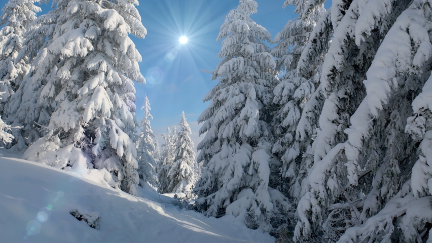 Frozen winter forest deeply covered with snow under the sunlight Royalty-Free Stock Footage #1077176294