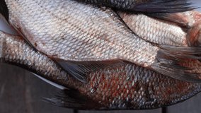 Close-up view 4k stock video footage of whole fresh just caught uncooked river fish isolated