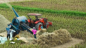 Time Lapse Video 4K, Farmers harvesting rice by using machines to separate the seeds from the rice plant, Nan, Thailand.