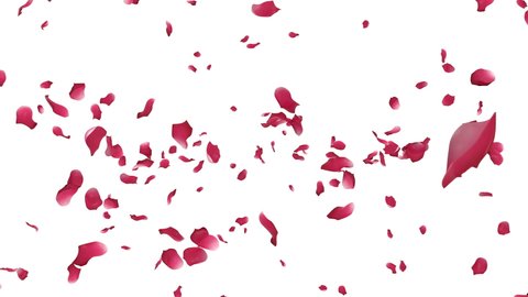 3D animation of rose petals flow with alpha layer
