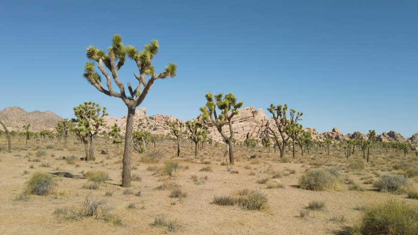 Landscape of Joshua Tree National Park, California image - Free stock ...