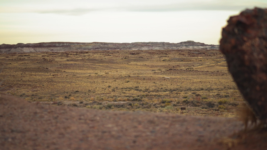 Giant wood log with landscape view at Petrified Forest National Park in Arizona, panning shot