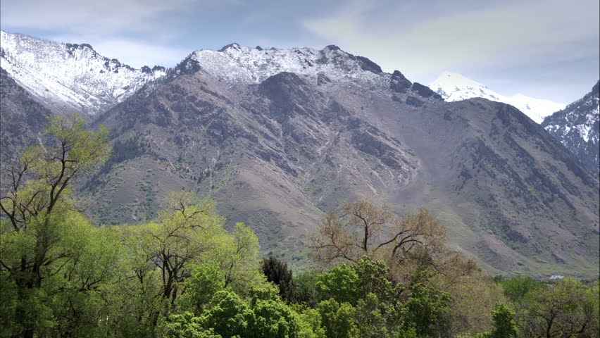Static shot of green trees and grasses with a mountain slope in the distance,