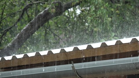 Raining on the metal roofing sheets and on gutter pipe. Heavy rain drops in summer.