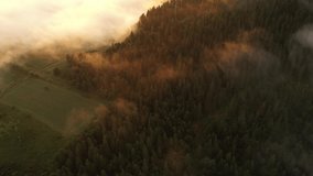 Drone flyght over flowing morning fog in summer mountains. Beautiful sunrise light glowing on forest, medows and green hills. UHD 4k video
