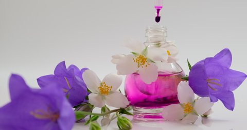 Flower Perfume or Oil Essence with jasmine, jasmin,  campanula, bellflowers. Drops falling from cosmetic pipette to glass bottle with Perfumery. Aroma liquids