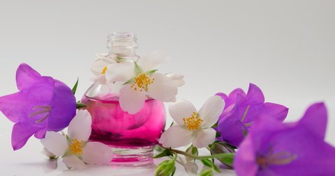 Flower Perfume or Oil Essence with jasmine, jasmin,  campanula, bellflowers. Drops falling from cosmetic pipette to glass bottle with Perfumery. Aroma liquids