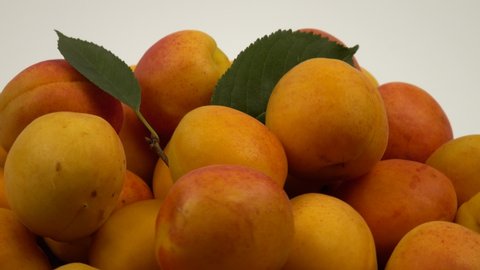 Ripe whole apricots lie on the green leaves of an apricot tree against a white background
