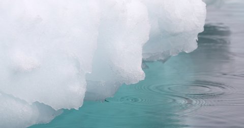 CU Melting snow in water , Cuverville Island, Antarctica