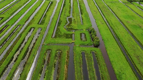 AERIAL WS Green polder landscape , Reeuwijk, Zuid-Holland, Netherlands