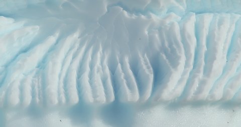 CU Textured iceberg surface , Cuverville Island, Antarctica