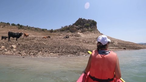 Zahara, Cadiz, Spain, August 3, 2021: Couple kayaking in water reservoir close by bulls, cows, and goats that stand by the shore. 