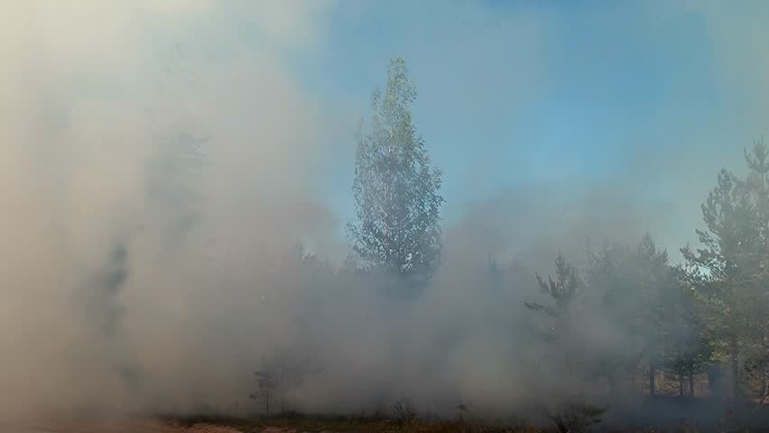 Dense continuous smoke after the fire. The atmosphere is smoky. Ecology is disturbed in the drought. Anxious in California. Beautiful and dangerous. Wildfire. The fire in the forest.
