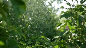 water droplets glisten in the sun - Powered by Shutterstock - Get 15% off with code: PIKWIZARD15