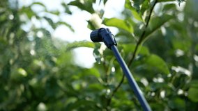 water droplets glisten in the sun watering apple leaves with a spray hose close-up - Powered by Shutterstock - Get 15% off with code: PIKWIZARD15