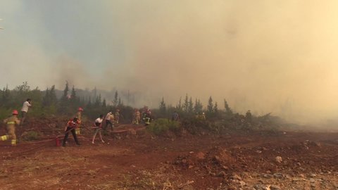 Muğla, Turkey - 08 07 2021 Turkey has been fighting forest fires since 28 July.

In addition to firefighters and forestry workers, many civilians and volunteers participate in extinguishing efforts.