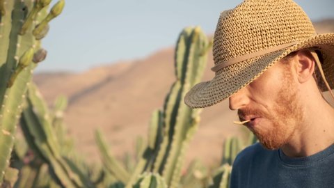 Man in a straw hat standing in a cactus desert field chewing straw in the wild wild west. Cowboy. cacti forest Desert Golan heights Israel. Kubo. lonely wolf guy outcast. van gogh