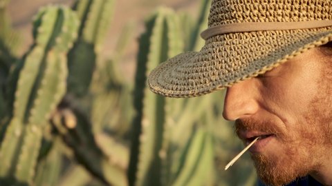 Tough cowboy Man in straw hat standing in a cactus field in the desert. Guy chewing straw in the wild wild west. cacti forest Desert Golan heights Israel. Kubo. lonely wolf guy outcast. van gogh