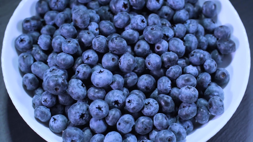 Large blueberries with radiation in a white container that vibrates and rotates. Royalty-Free Stock Footage #1077342266