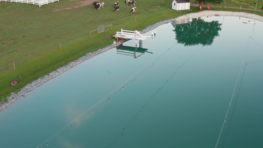 Aerial tilt up reveals Amish farm and dairy cows by pond, farm buildings. Summer in USA.