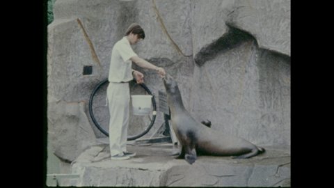 1970s: Zookeeper feeds seals. Primate eats. Girl eats mashed potatoes.