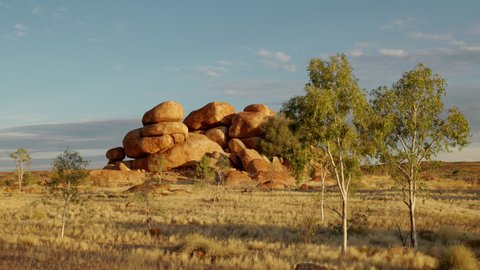 devil's marbles and eucalyptus trees at sunset in the northern territory of australia