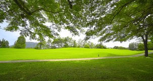 Park and Outdoor Video public park. Panoramic view of big tree and green meadow park in morning time and beautiful nature sun light, 4K UHD. Video Clip.