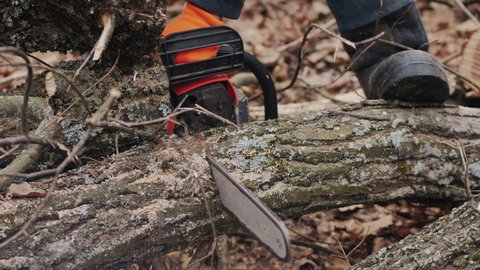 Man in uniform cuts a felled tree trunk with a chainsaw in autumn forest, closeup
