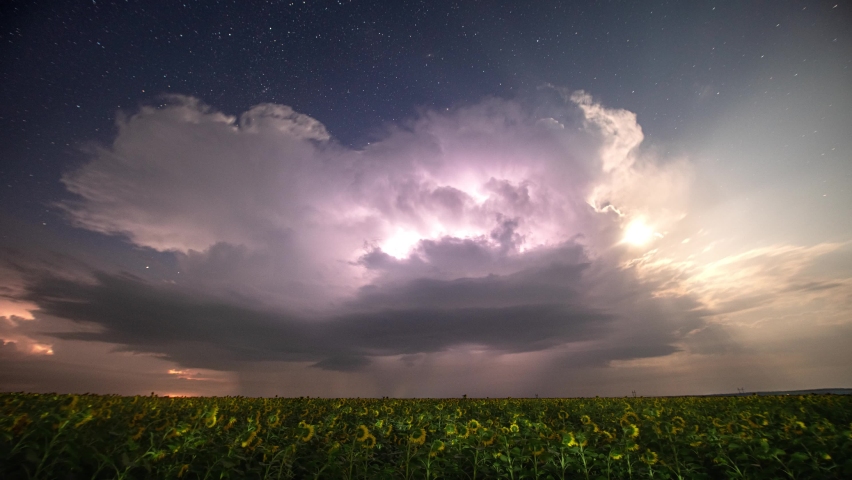 Time-lapse. Beautiful thunderstorm with clouds, lightning and moon over a field with sunflowers at night.