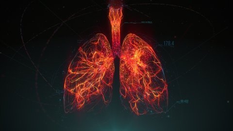 Respiratory system infection. Lung inflammation. Pneumonia