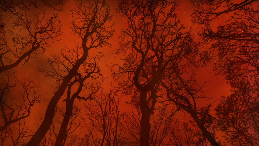 A close-up view of a massive forest fire against a forest silhouette.