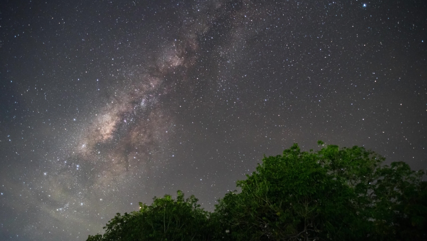 Time-lapse 4k footage of the stars behind a tree in the night sky. Milky Way galaxy