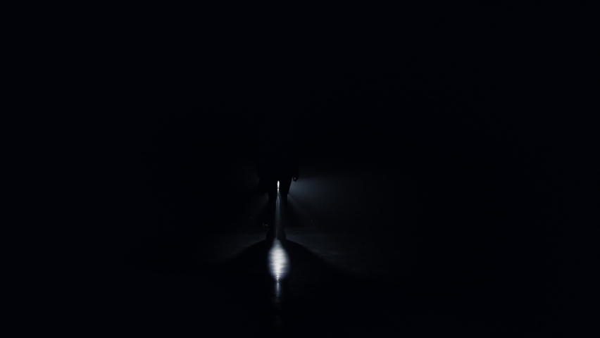 Silhouette of young woman going straight on camera in darkness. Front view female person walking in dark background. Unknown graceful girl stepping in floodlight backdrop. | Shutterstock HD Video #1077398612