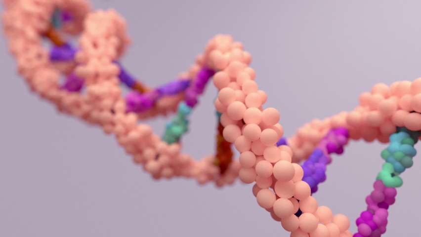 DNA mutation, a mutation is a change in a DNA sequence, mutations can result from DNA copying mistakes made during cell division. 3d animation | Shutterstock HD Video #1077403688