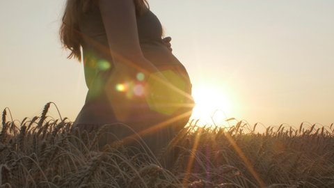 silhouette figure of happy pregnant red-haired young woman in dress standing in ripe wheat field enjoying sunset embrace her belly, future mother relaxing in nature, concept of motherhood