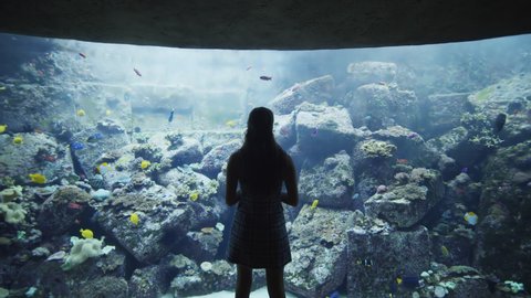 Woman touching the exhibit glass in Dubai Aquarium. Tourist enjoying the view of tropical fish in large aquarium fish tank