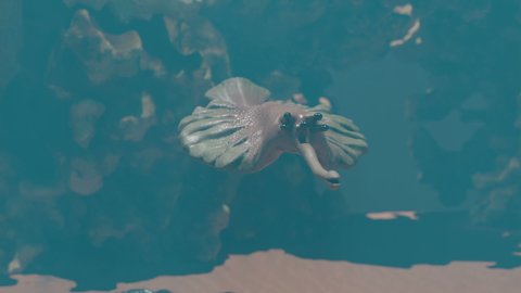 Opabinia, under water prehistoric animal swimming