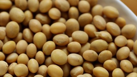 Soybean in a round white ceramic cup. Rotation.Vegetable source of protein.Soybeans Background. High quality 4k footage