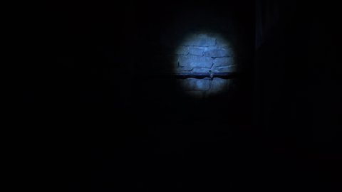 Shine a flashlight in the dark.Walk through an old dark underground basement or a closet in an old house.An old underground passage with many doors in the old manor house.A gloomy corridor or a tunnel
