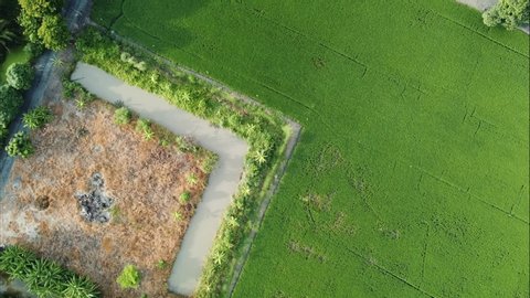 Aerial view, top angle flying over paddy field.