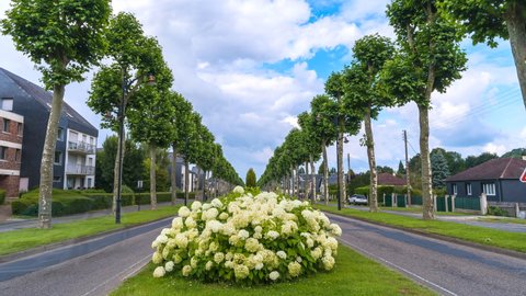 Time lapse on the main road leading to Honfleur in Normandy, France. In the foreground a beautiful bush of hydrangeas