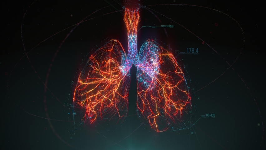 Respiratory system infection. Lung inflammation. Pneumonia | Shutterstock HD Video #1077431279