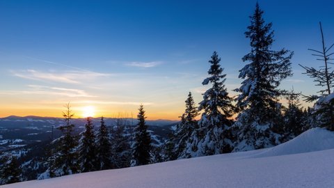 Beautiful winter landscape in the mountains. Rising sun breaks through the snow covered branches of the fir tree. Ground and trees covered with thick layer of fresh fluffy snow